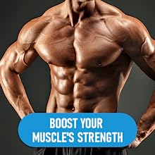 Zenooze BOA by Entraînement des Biceps pour Le Haut du Bras pour Hommes, Noir, L Zenooze BOA by Entraînement des Biceps pour Le Haut du Bras pour Hommes, Noir, L